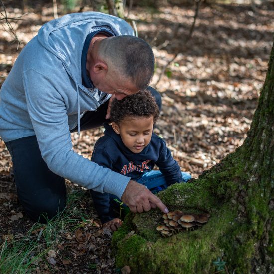 Les meilleures activités pour enfants pendant les vacances de la Toussaint en Gironde