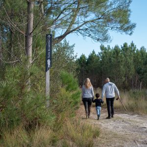 L’automne dans le Médoc : 5 choses à faire en famille